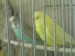 DSC00330.JPG