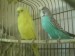 DSC00331.JPG