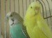 DSC00332.JPG