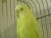 DSC00333.JPG