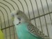 DSC00334.JPG