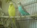 DSC00336.JPG